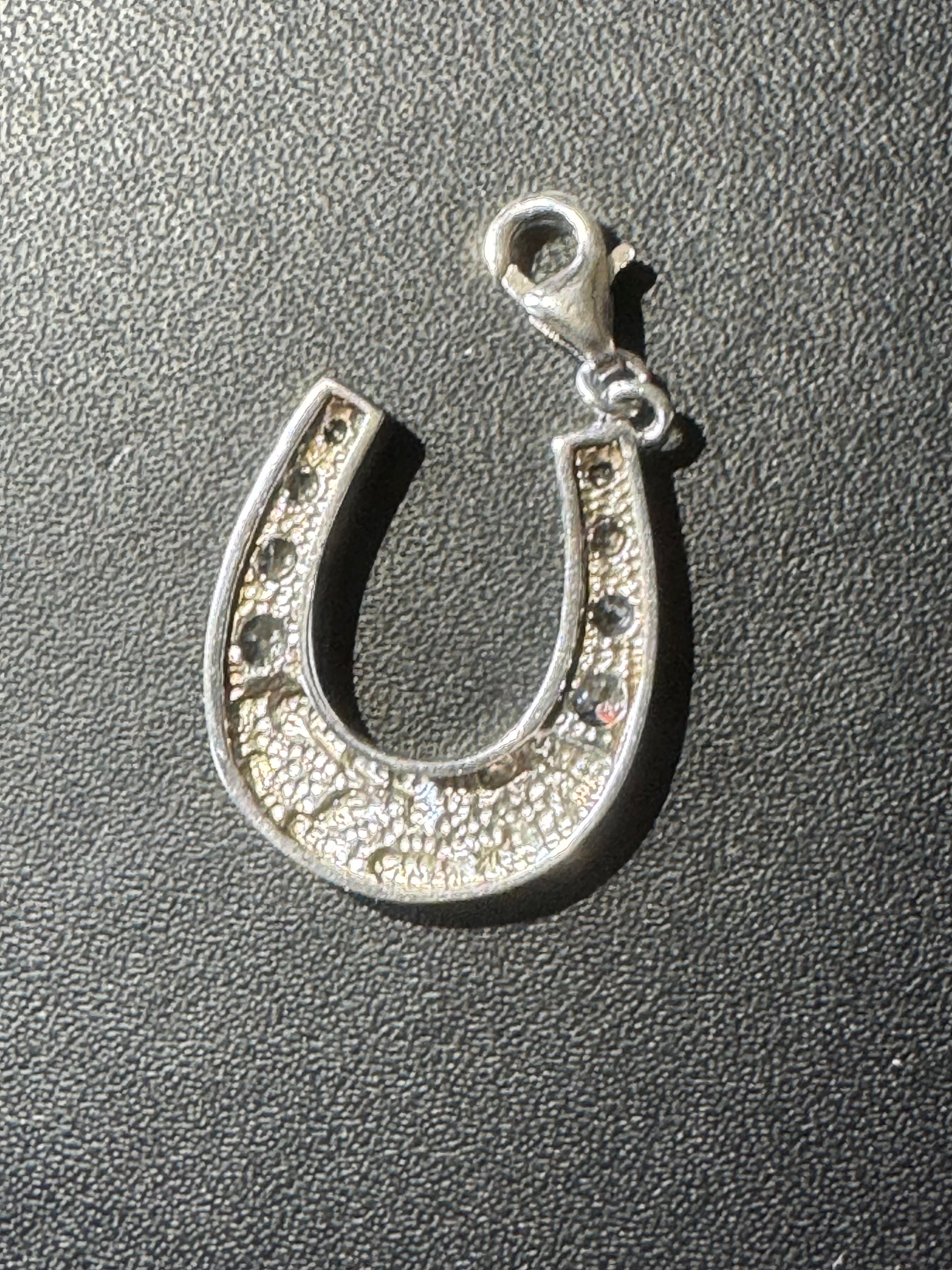 Lucky Horseshoe Charm — New Condition
