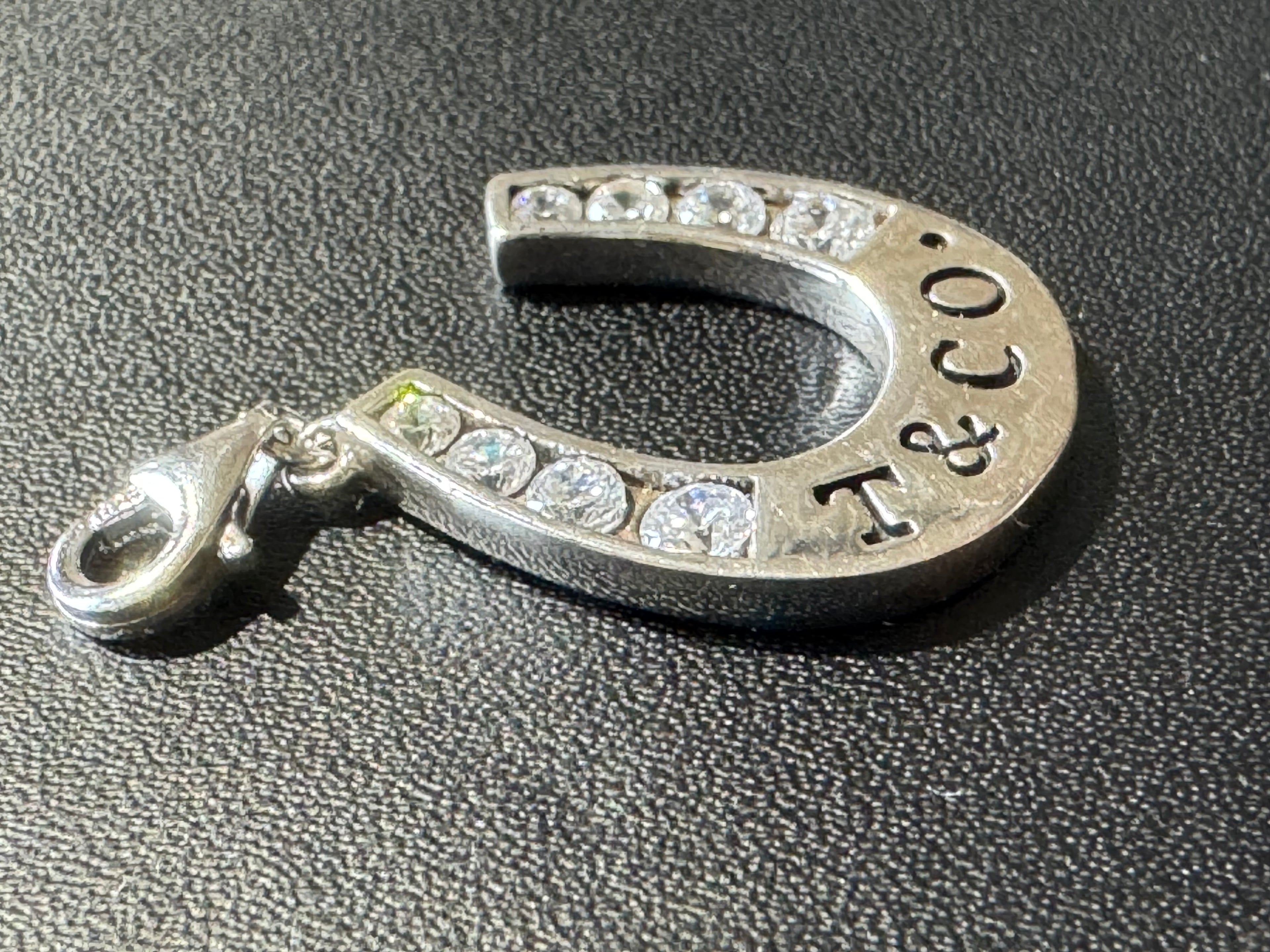 Lucky Horseshoe Charm — New Condition
