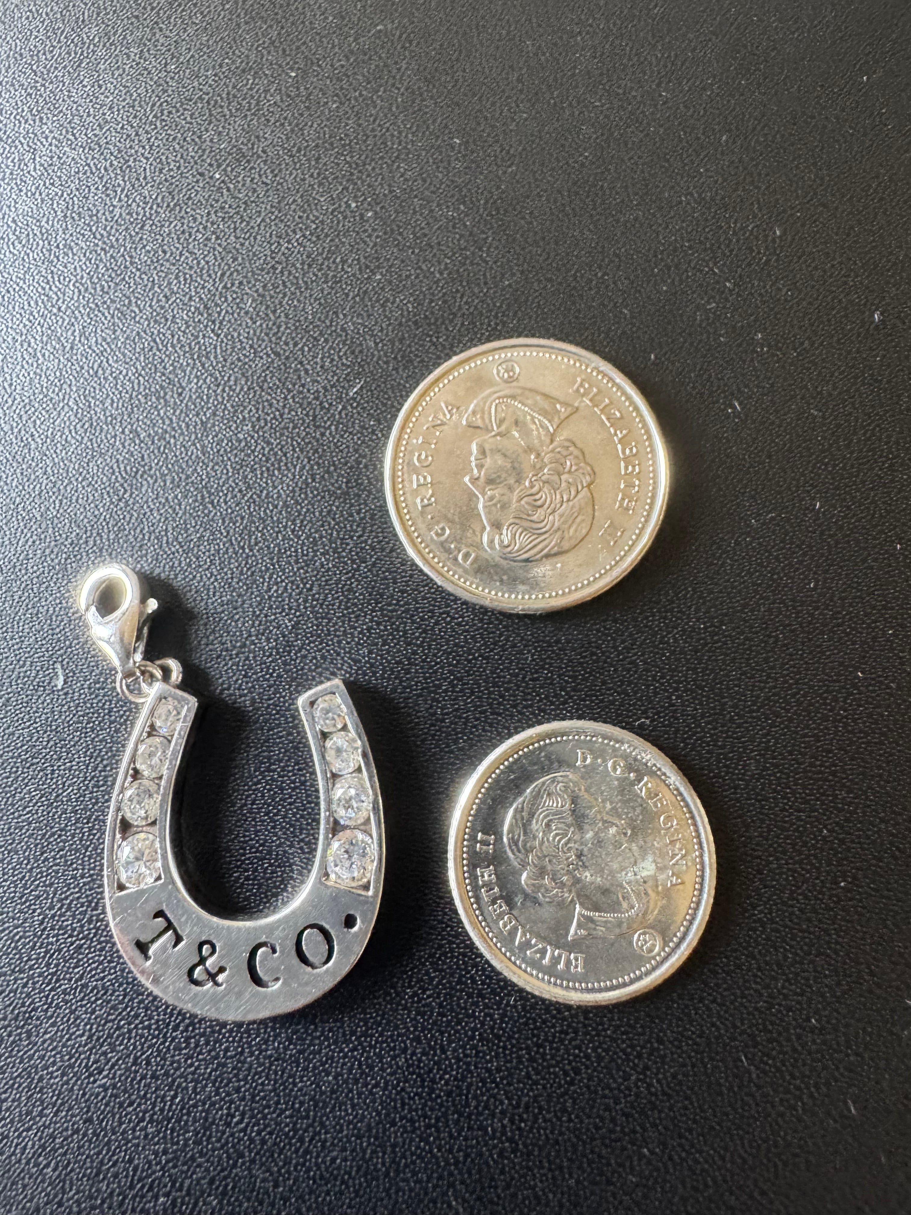 Lucky Horseshoe Charm — New Condition