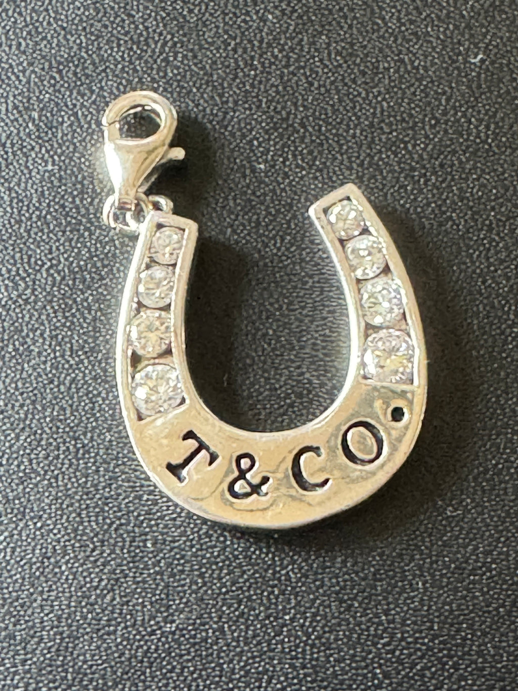 Lucky Horseshoe Charm — New Condition