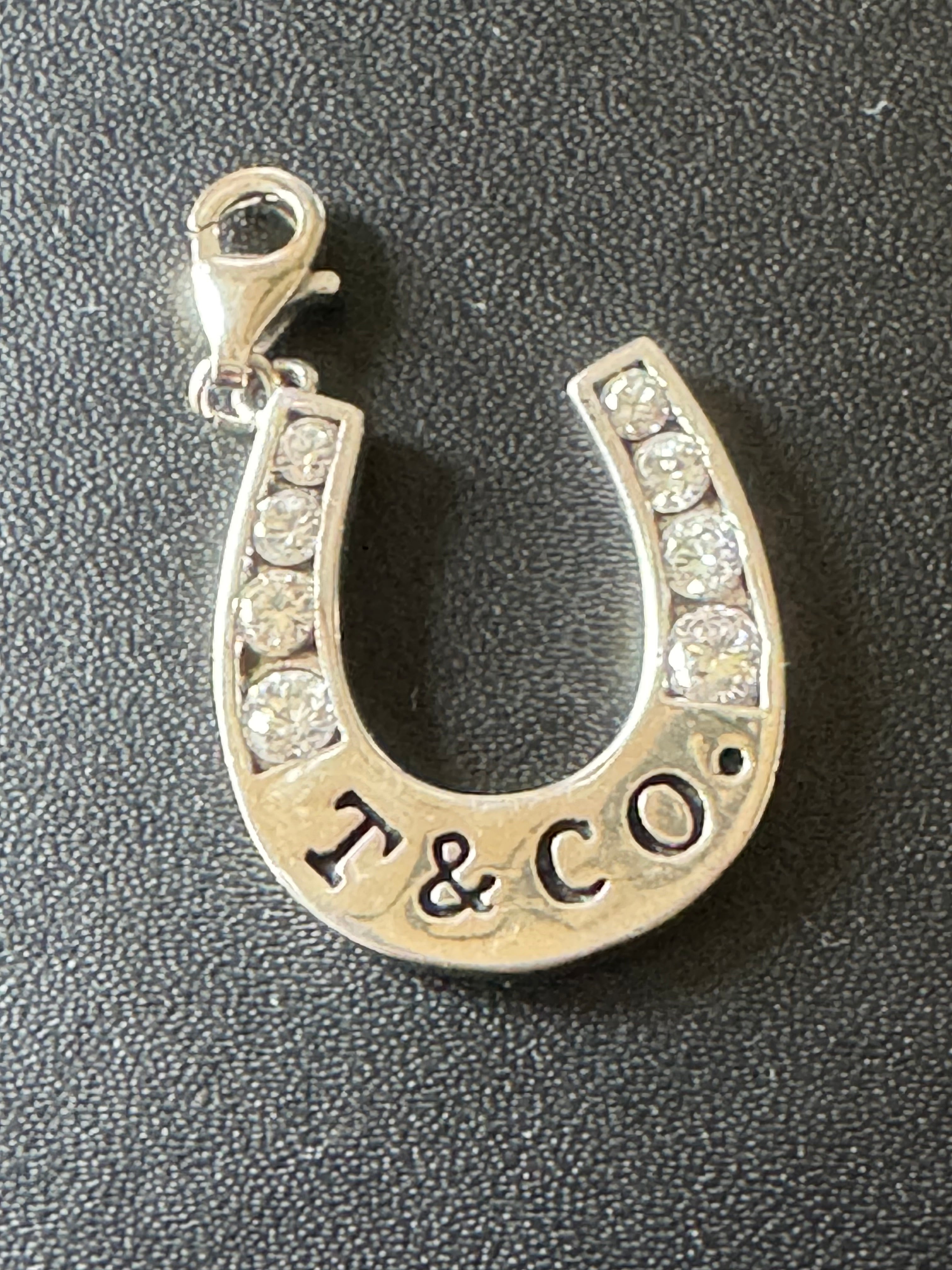 Lucky Horseshoe Charm — New Condition